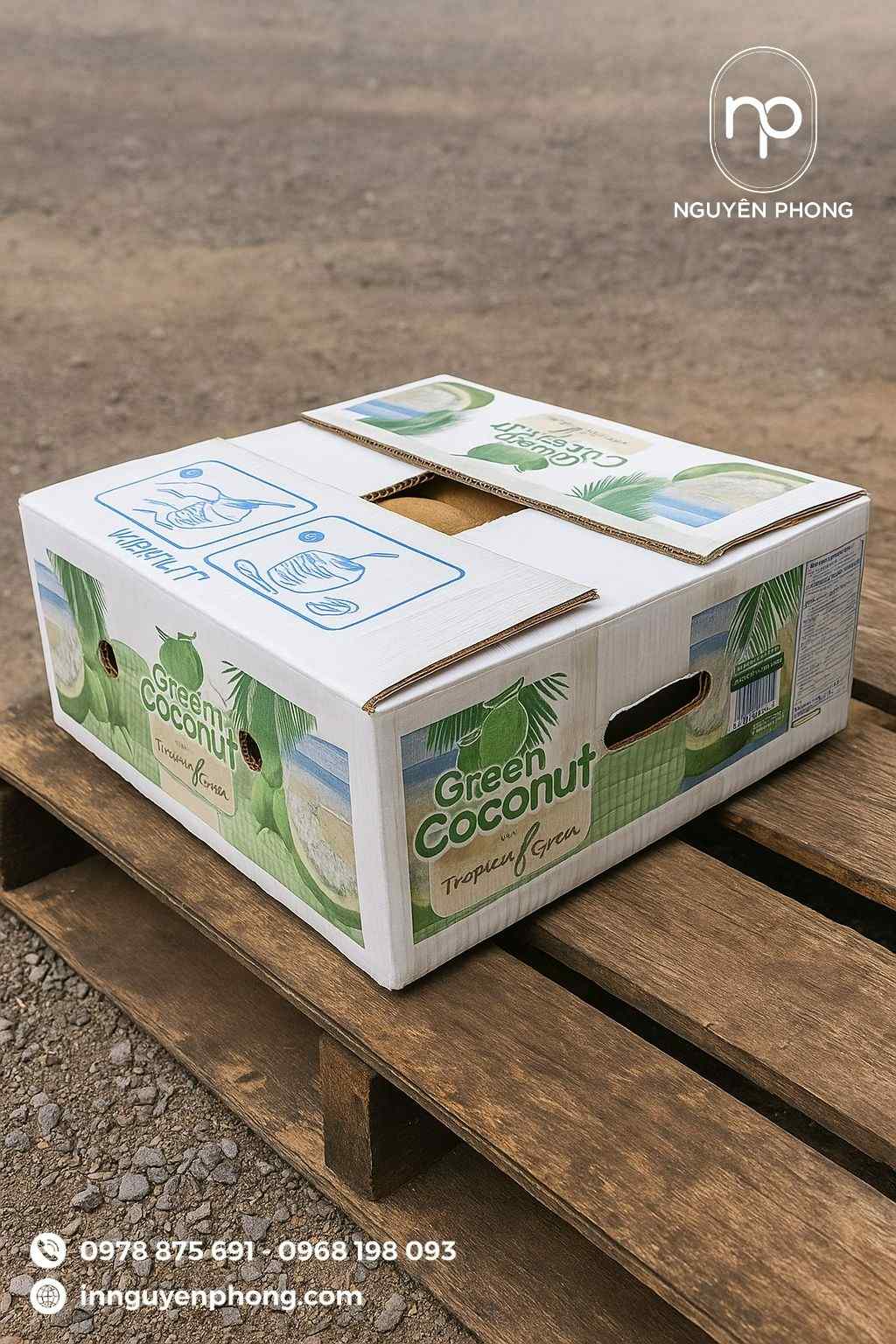 Mẫu thùng carton đựng dừa thiết kế lỗ thông hơi